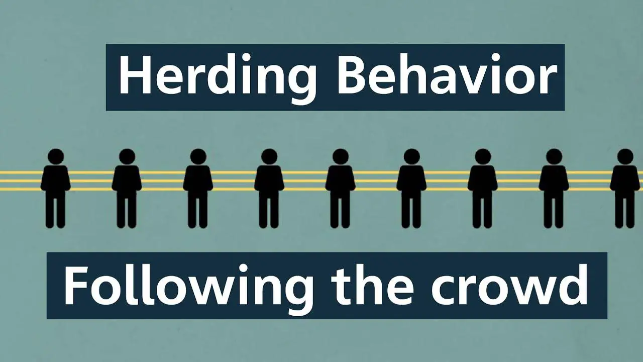 The Science Behind Herd Behavior And Social Learning