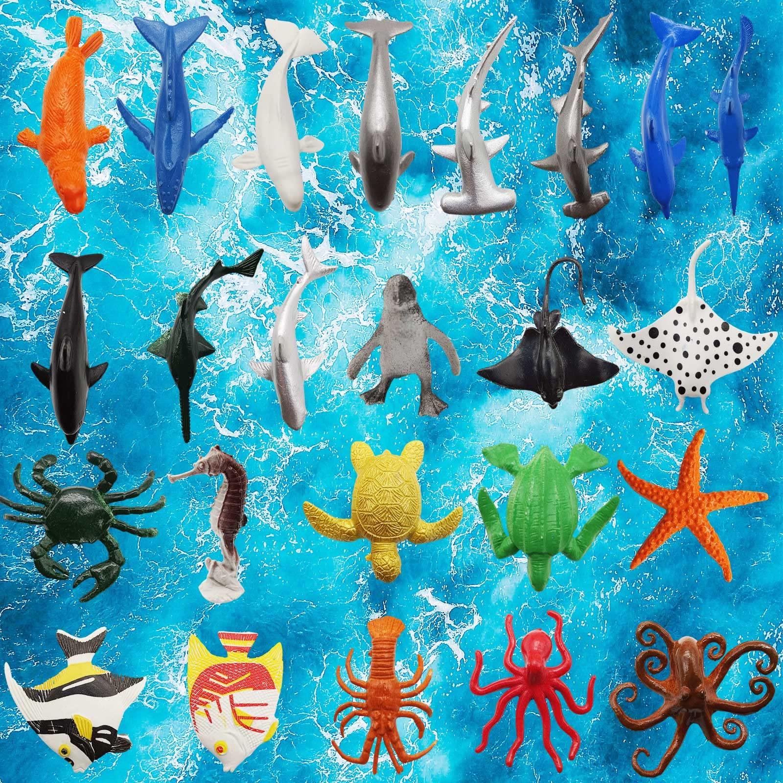 Encountering The Mysterious Creatures Of The Sea