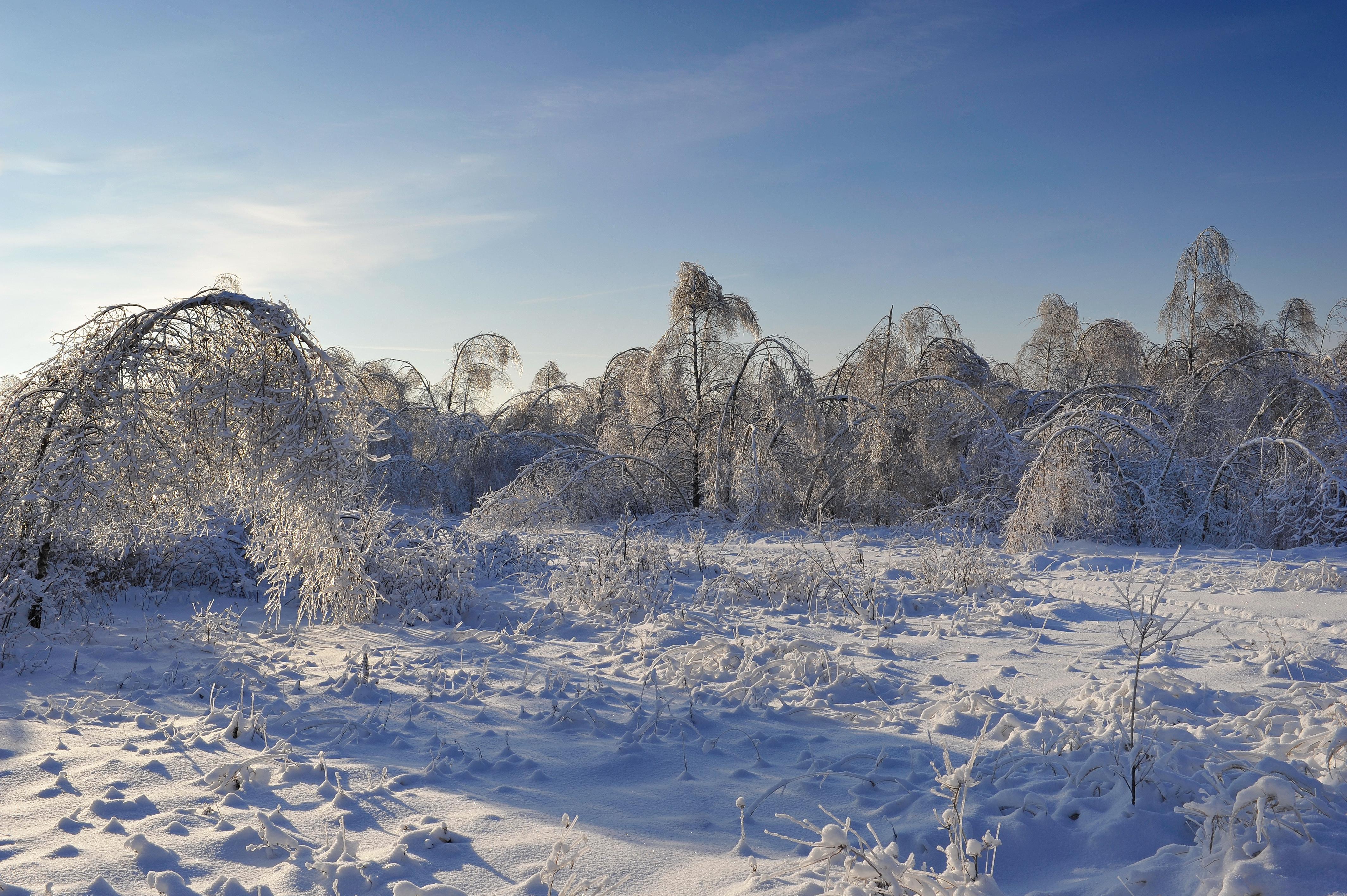 Winter Sports And Activities