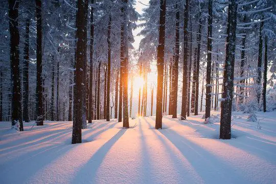 Learning To Appreciate The Season