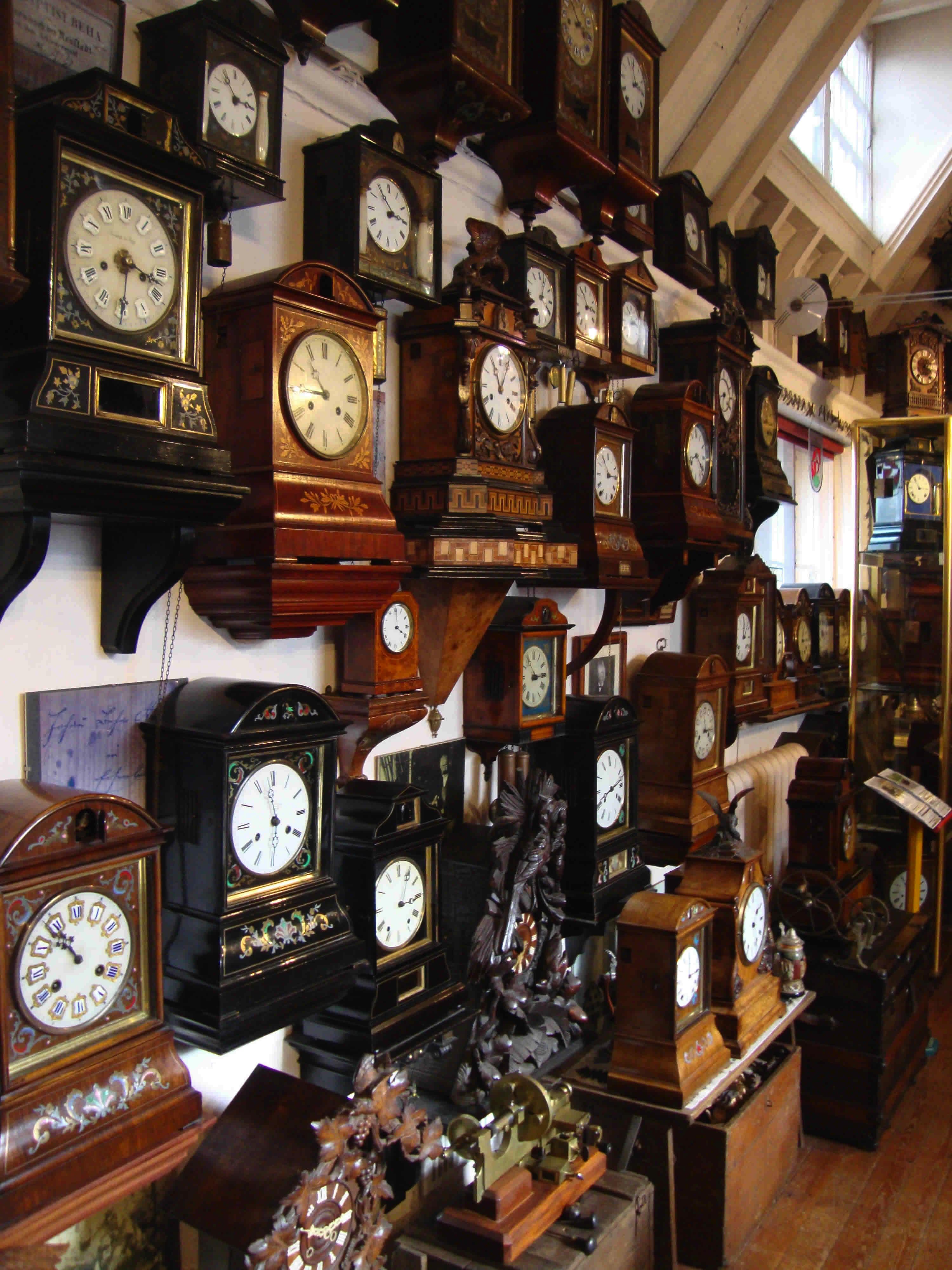 Extensive Collections And Preservation Methods