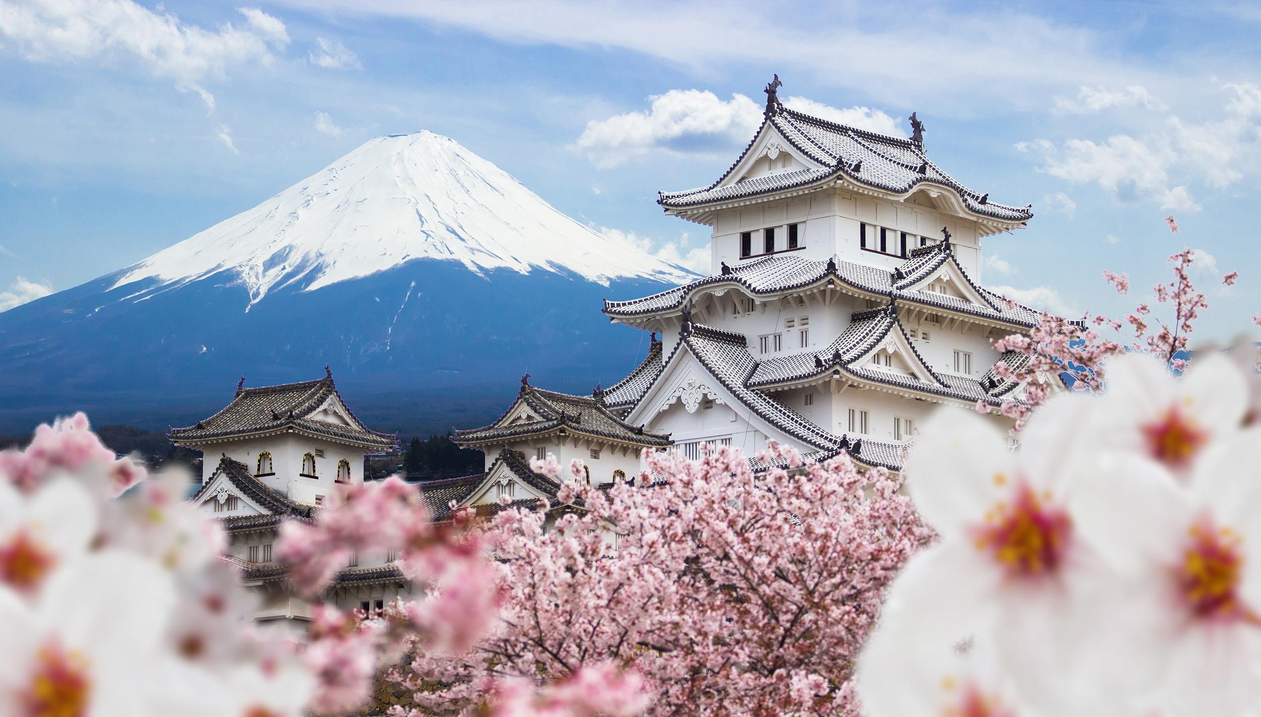 The Rise Of New Ips In Japan