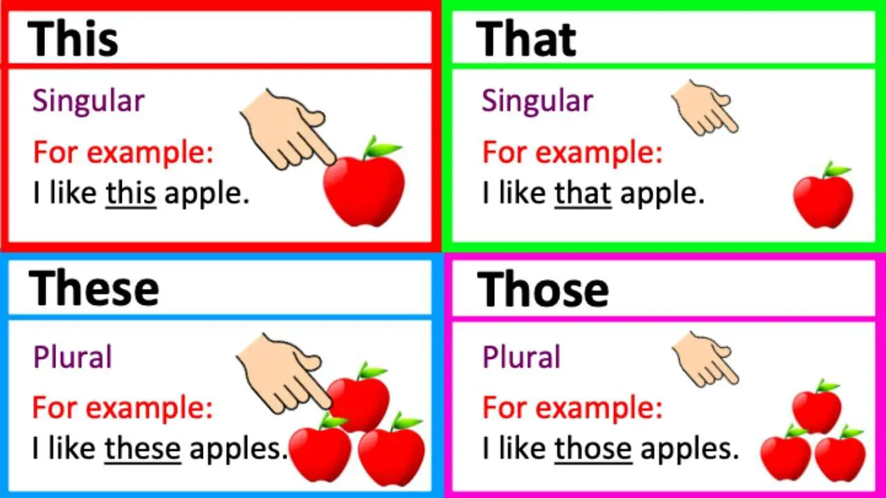 Bean確認: How These Small Seeds Work Wonders