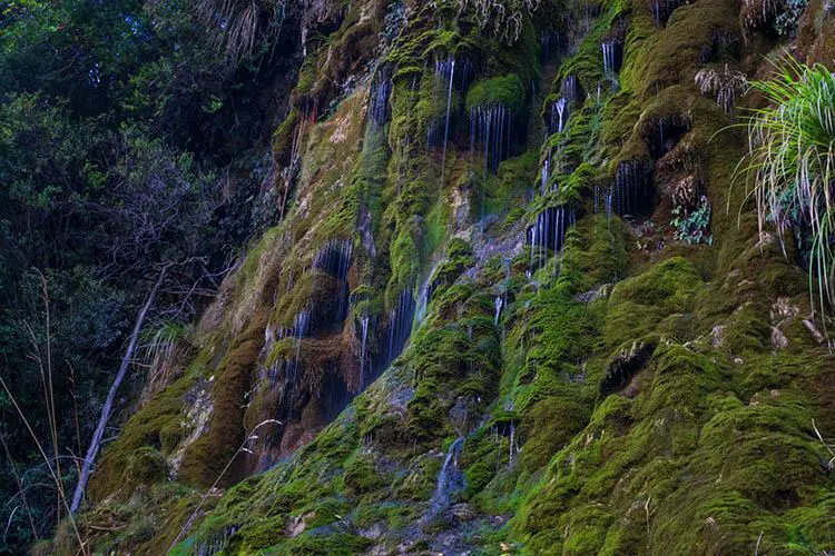 The Journey To Whispering Falls