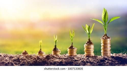 Growing A Sustainable Future