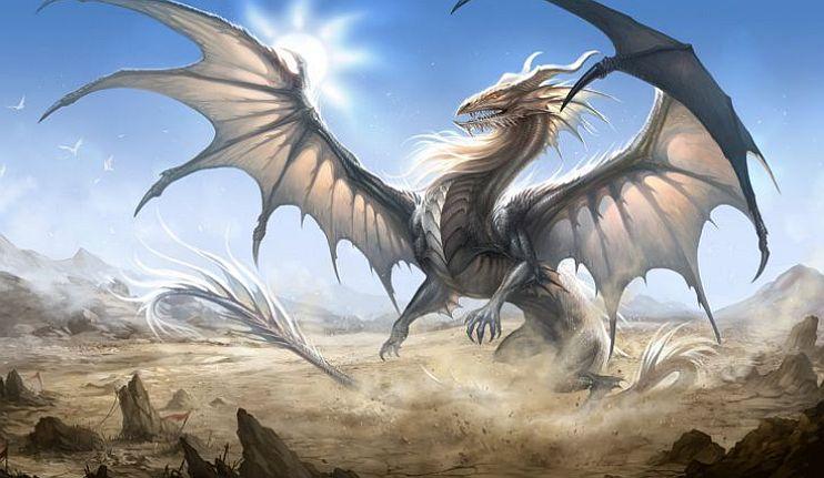 Loop The Dragon’s Fiery Introduction