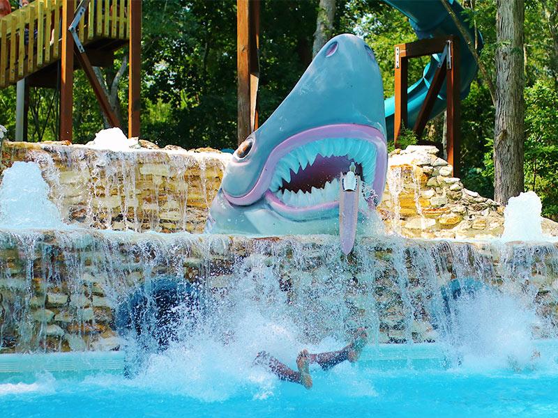- Splish-Splash: A Tale Of⁢ Friendship And ‌Frolic