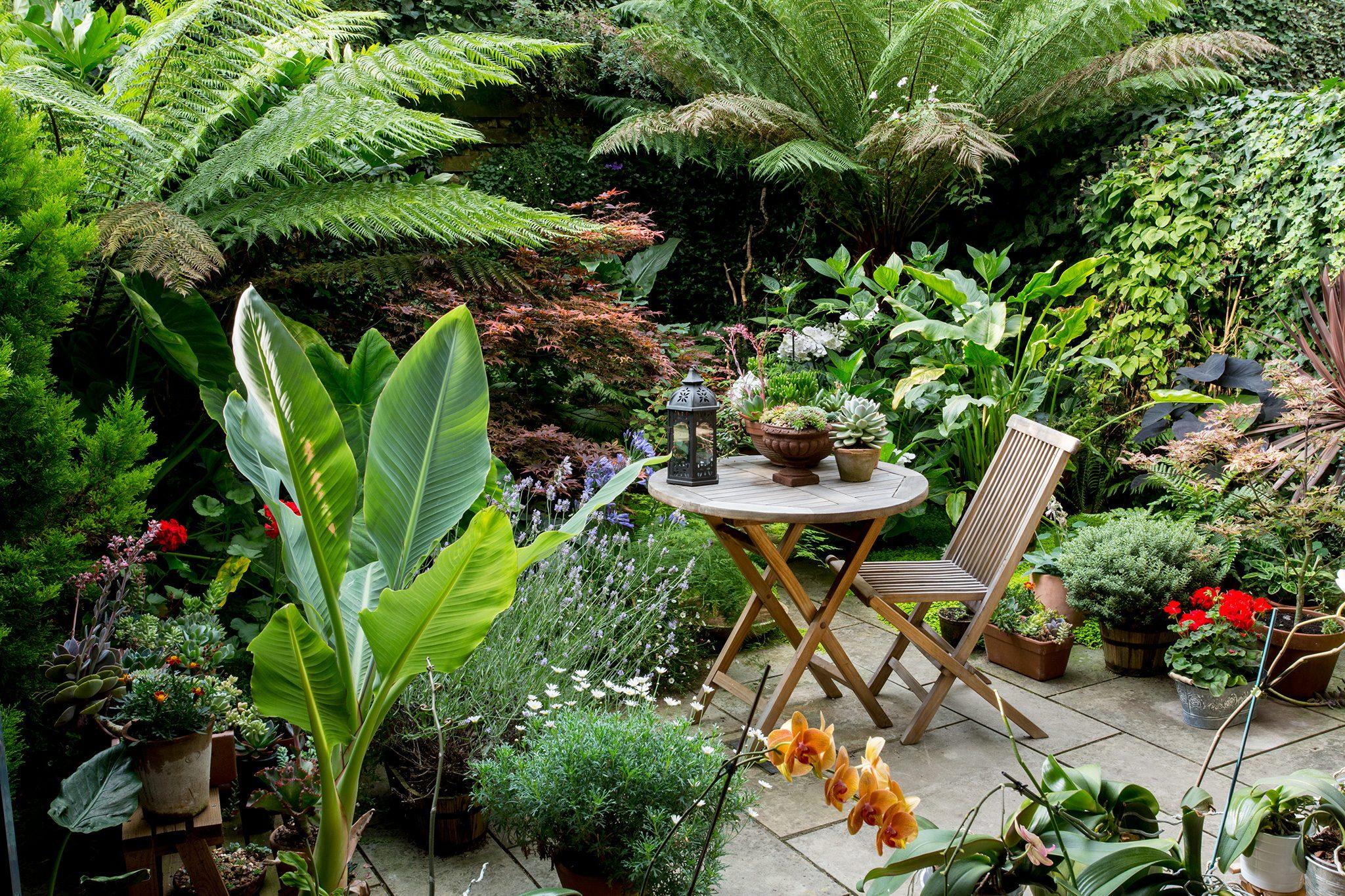 The Garden’s Gift ​Of ⁢Endless Possibilities