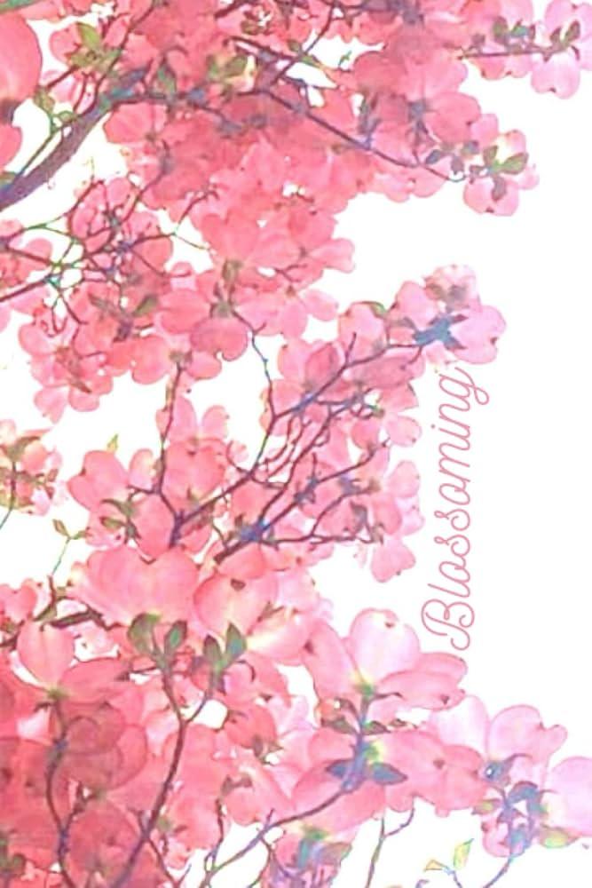 Blossoming Wisdom In The Garden Of‍ Innovation