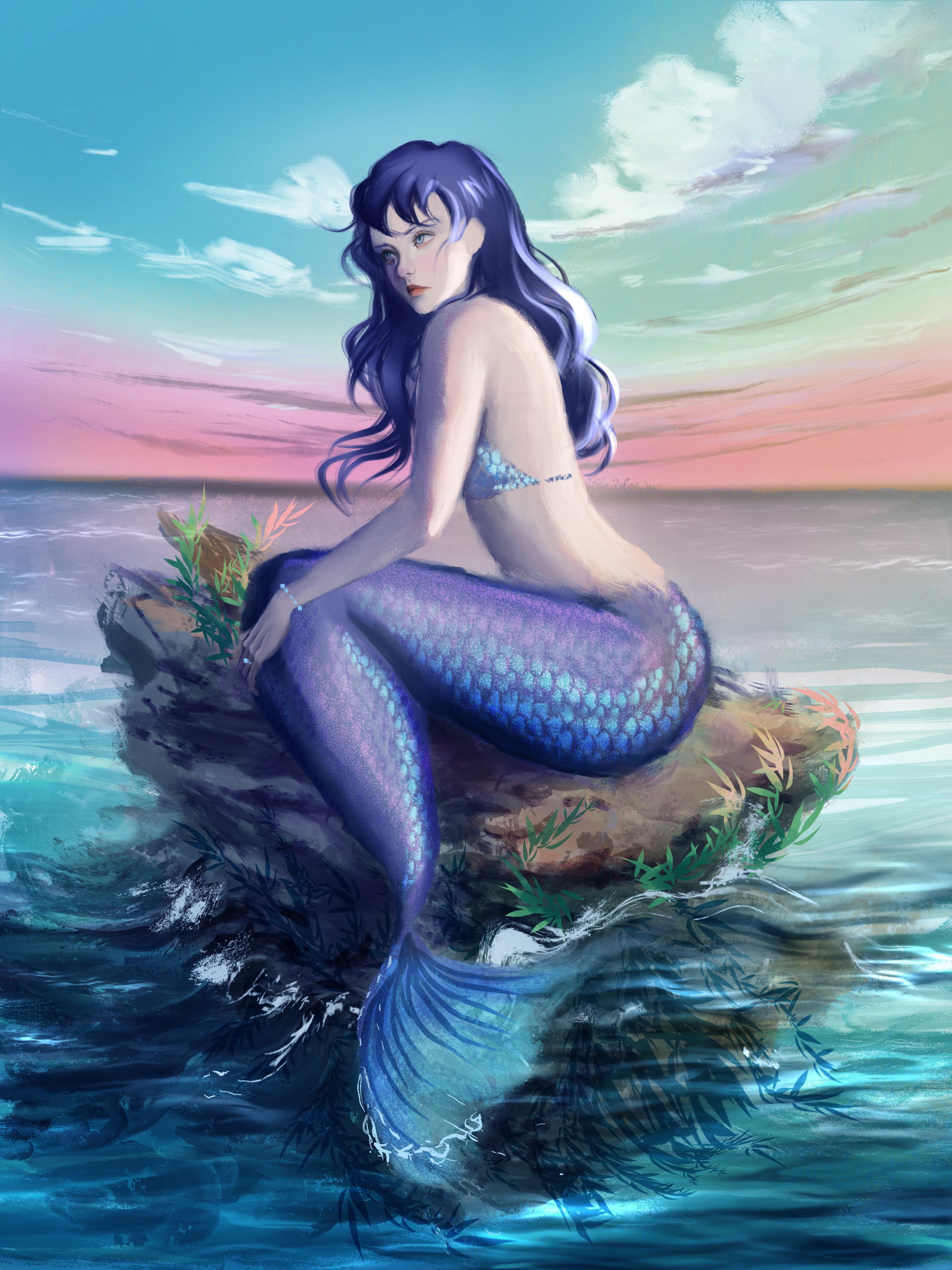 The Mermaid Princess And The Brave Little Sailor