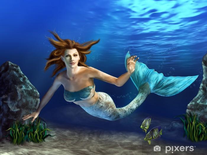 The Mermaid Princess And The Prince Of The Land