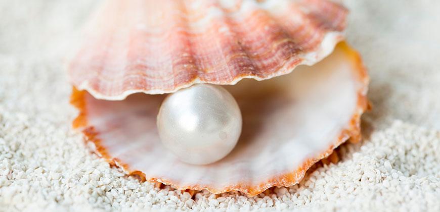 The Pearl⁤ Of Wisdom A ‍Treasured Gift